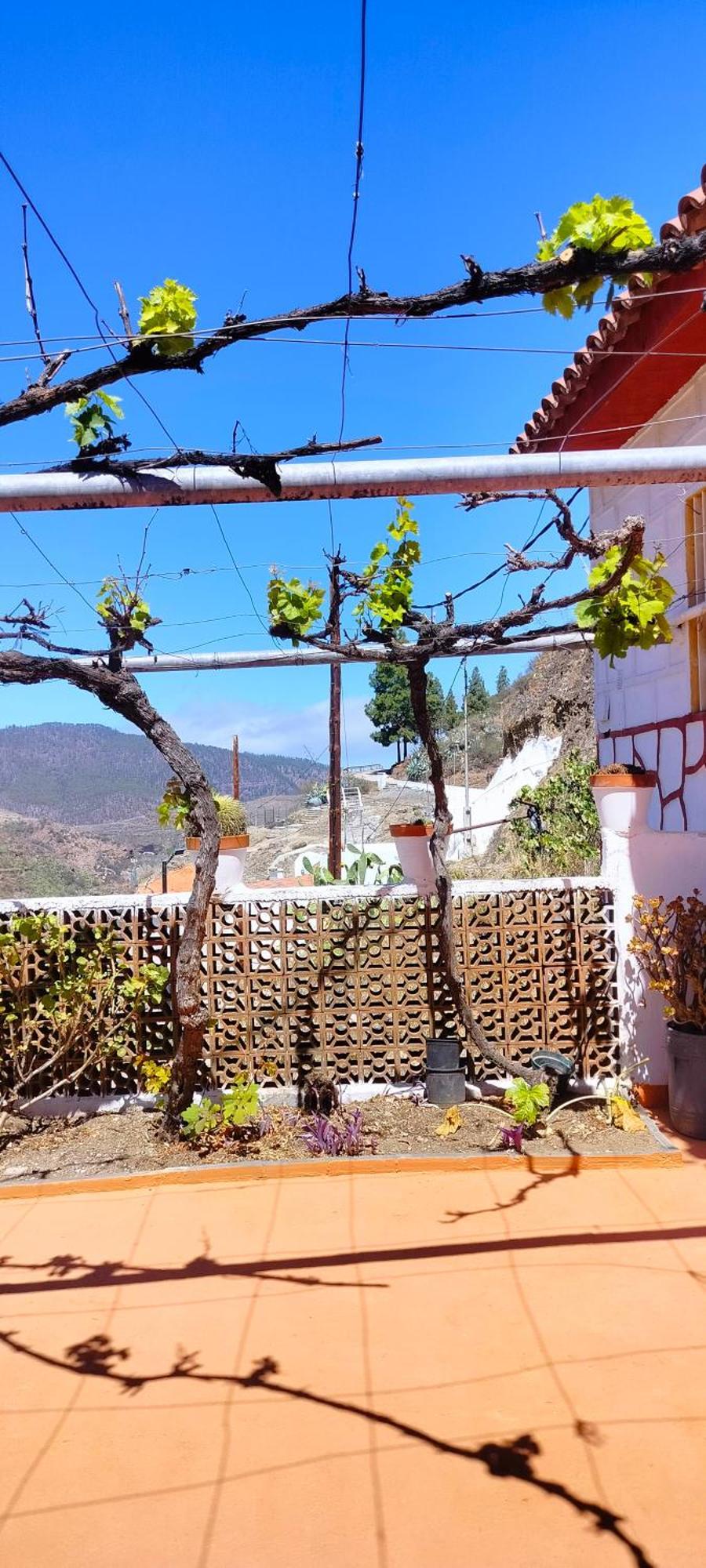 Casa Cueva Rural Trebola, Artenara Juncalillo Exteriér fotografie